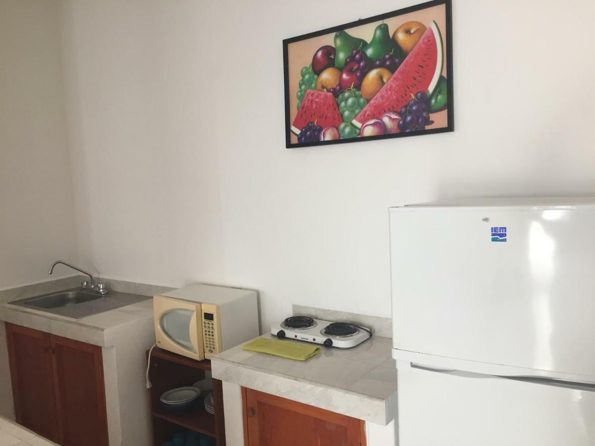 Departamentos Lalo Apartment Zihuatanejo Bagian luar foto